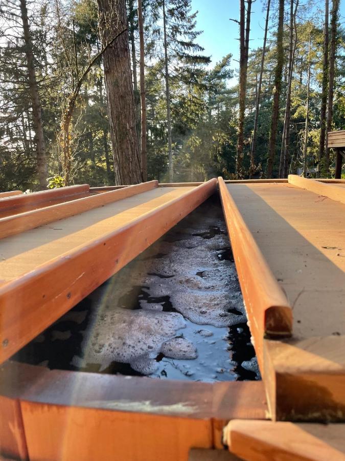 Neufchâtel-Hardelot Bain De Foret - Lodges Cosy & Spa מראה חיצוני תמונה