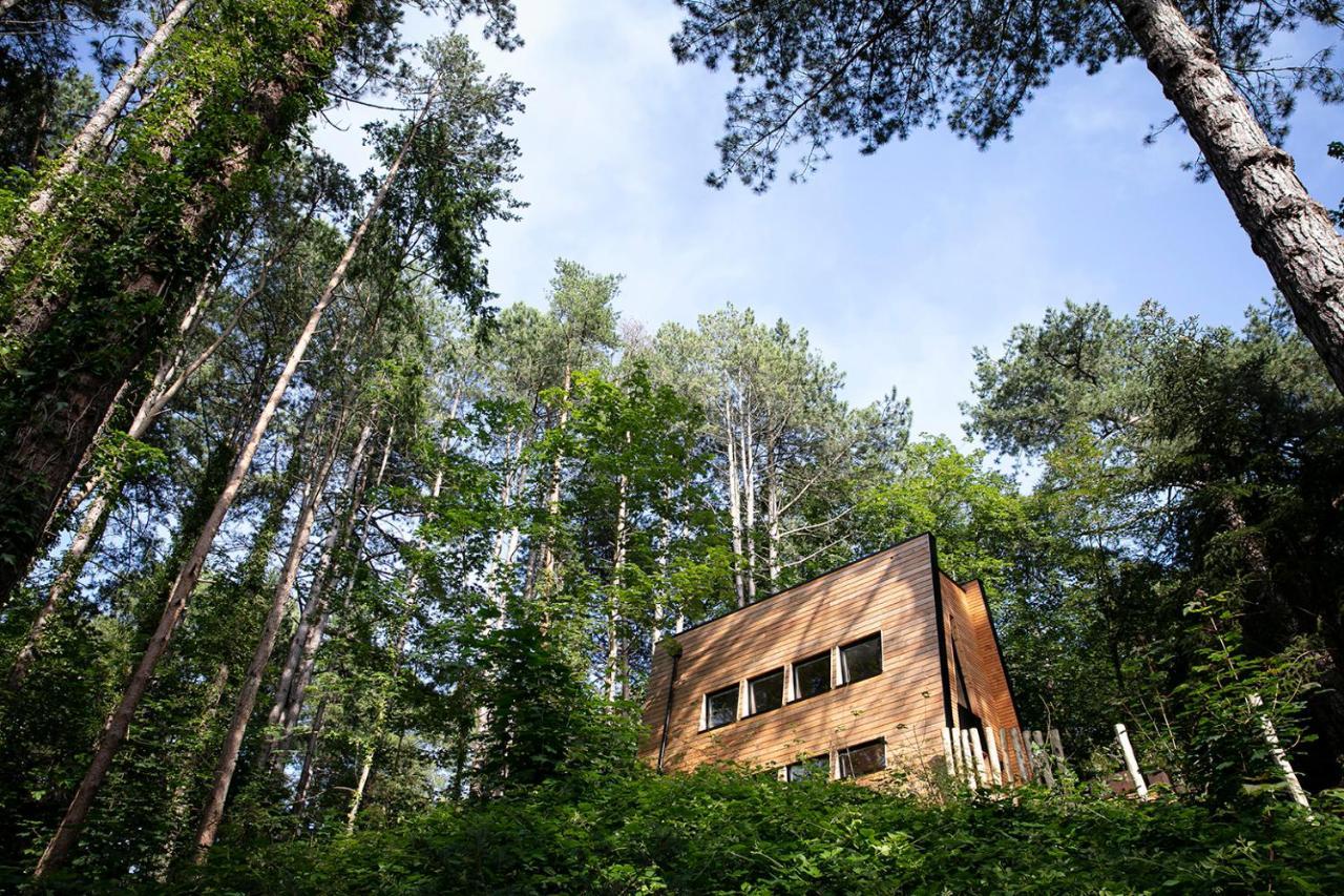 Neufchâtel-Hardelot Bain De Foret - Lodges Cosy & Spa מראה חיצוני תמונה