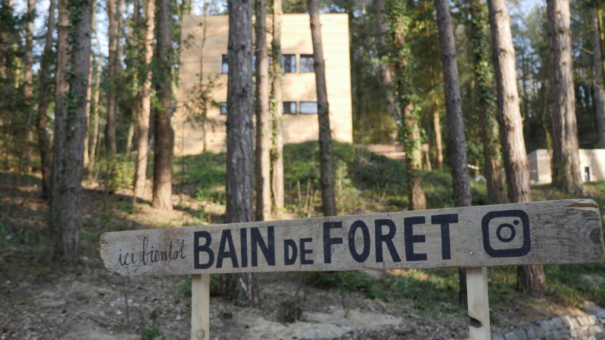Neufchâtel-Hardelot Bain De Foret - Lodges Cosy & Spa חדר תמונה
