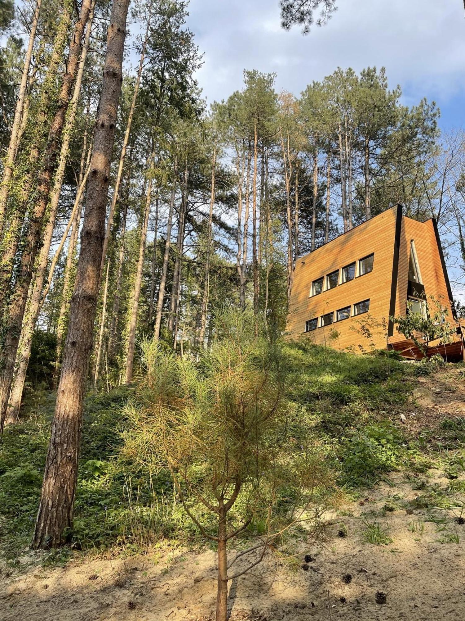 Neufchâtel-Hardelot Bain De Foret - Lodges Cosy & Spa חדר תמונה